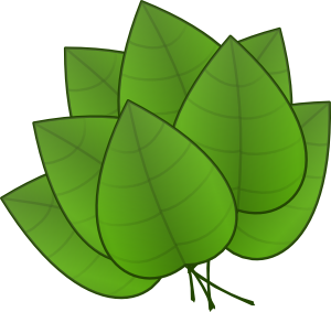 Jungle leaf clip art