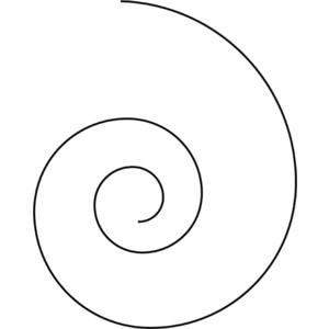 Spiral Clipart - Polyvore