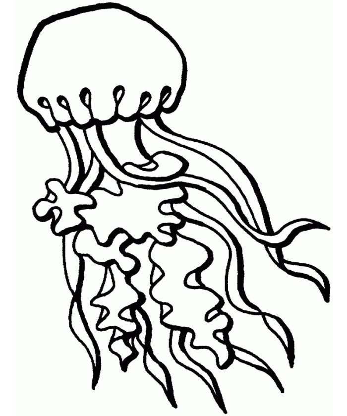 65+ Sea Creature Templates - Printable Crafts & Colouring Pages ...