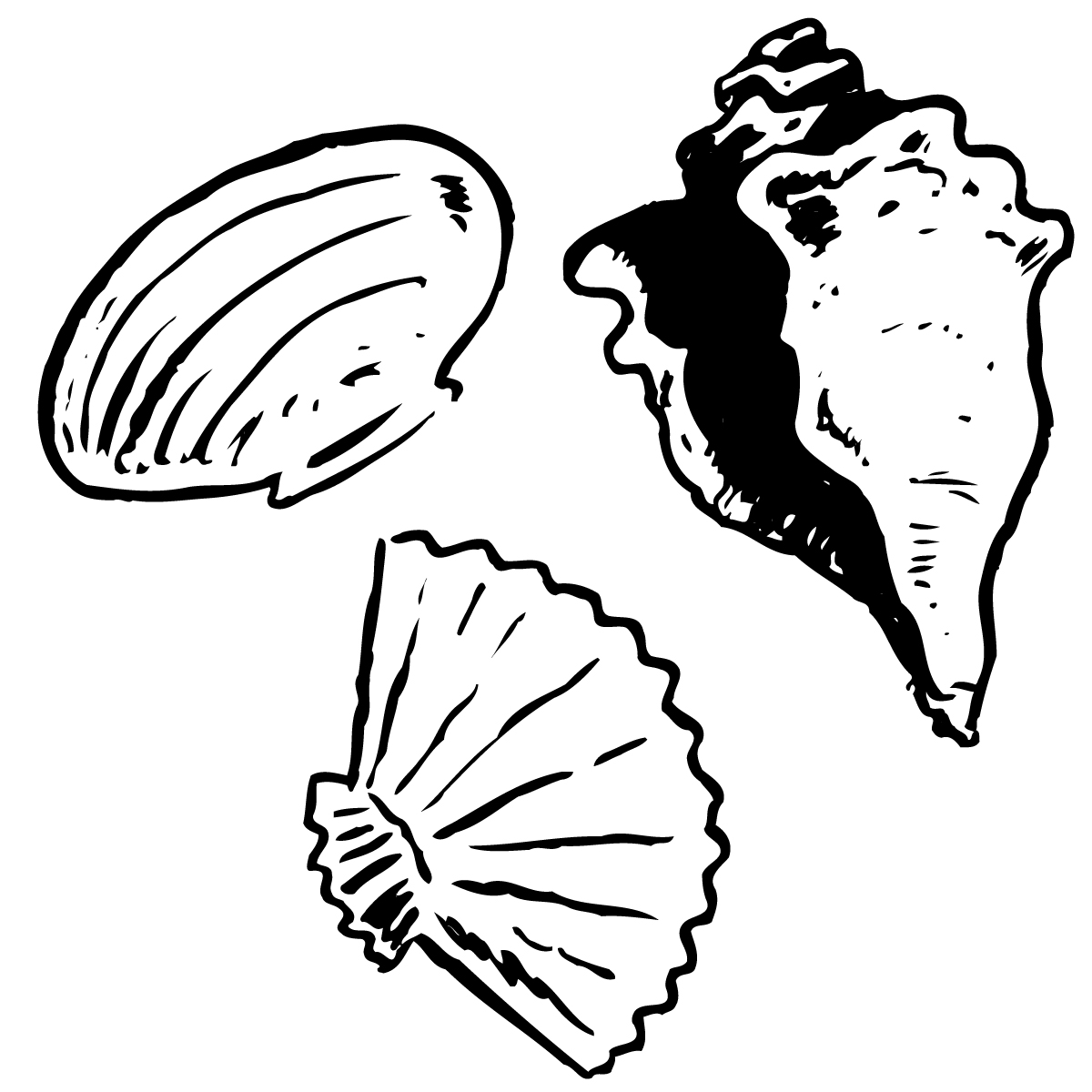 Seashell Clipart Black And White - Free Clipart Images