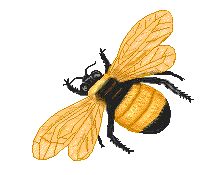 Bumblebee Drawings - ClipArt Best