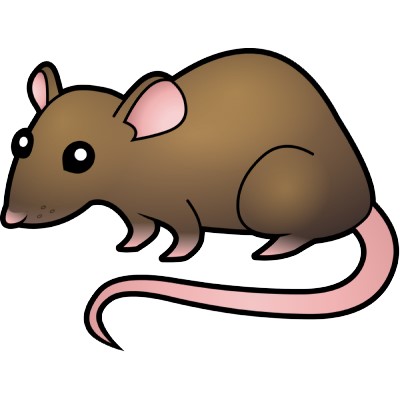 Cartoon Rat | Free Download Clip Art | Free Clip Art | on Clipart ...