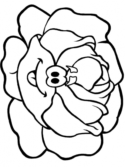 lettuce Colouring Pages