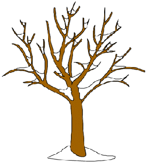 Winter Tree Clip Art - ClipArt Best