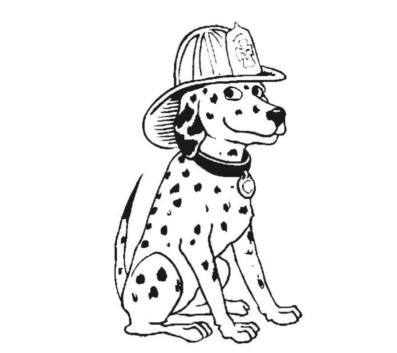 dalmatian fire dog Colouring Pages