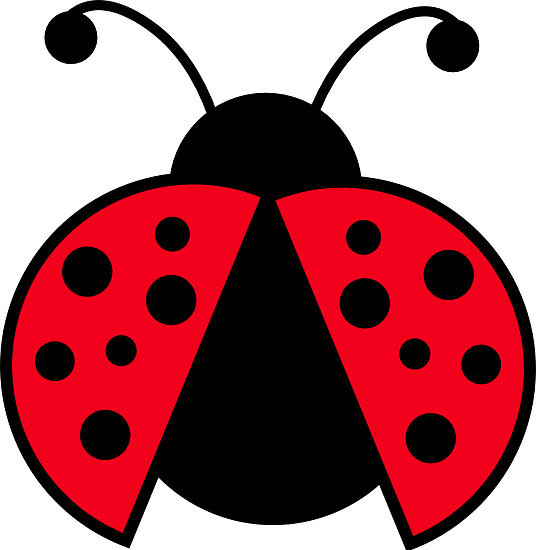 clipart ladybug clipart clipart image 1 - cliparting.com