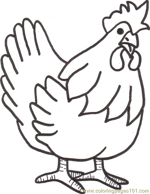 Chicken Line Art | Free Download Clip Art | Free Clip Art | on ...