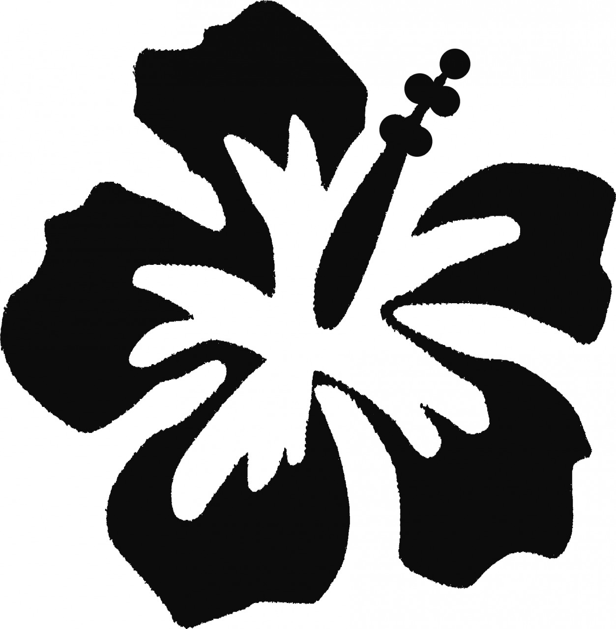 Hawaiian flower coloring pages - Coloring Pages & Pictures - IMAGIXS