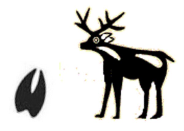 native american deer symbols