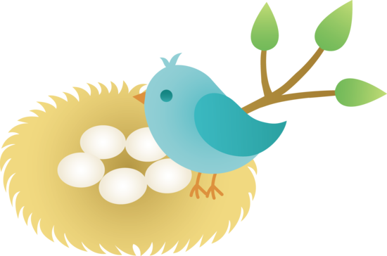 Birds nest with eggs clipart
