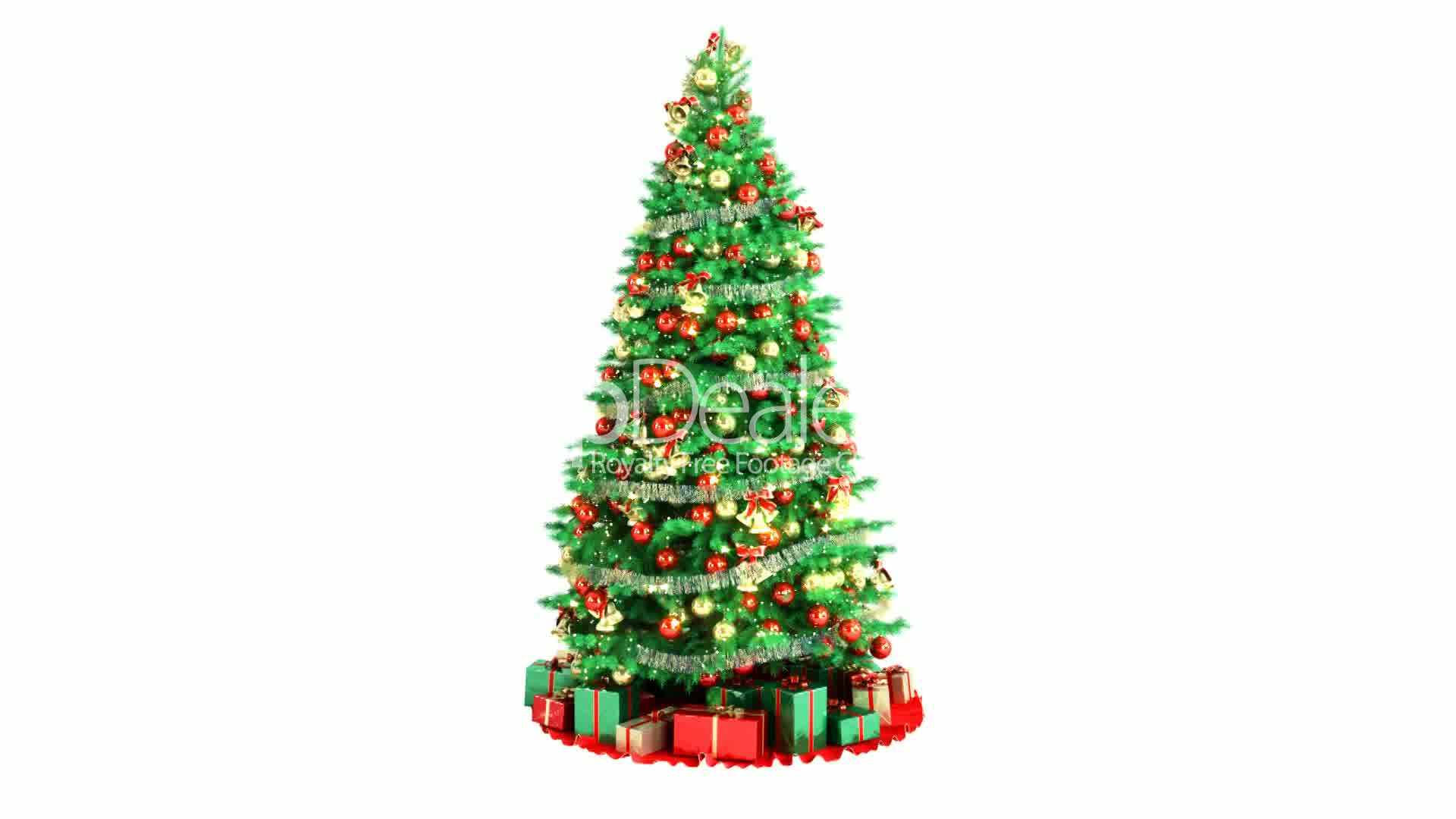 Christmas Tree Isolated On White Background. Loopable: Royalty ...