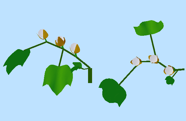 Virtual Plant