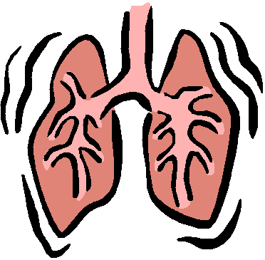 Respiratory Clipart