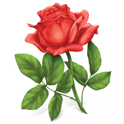 Single Red Rose Clip Art – Clipart Free Download