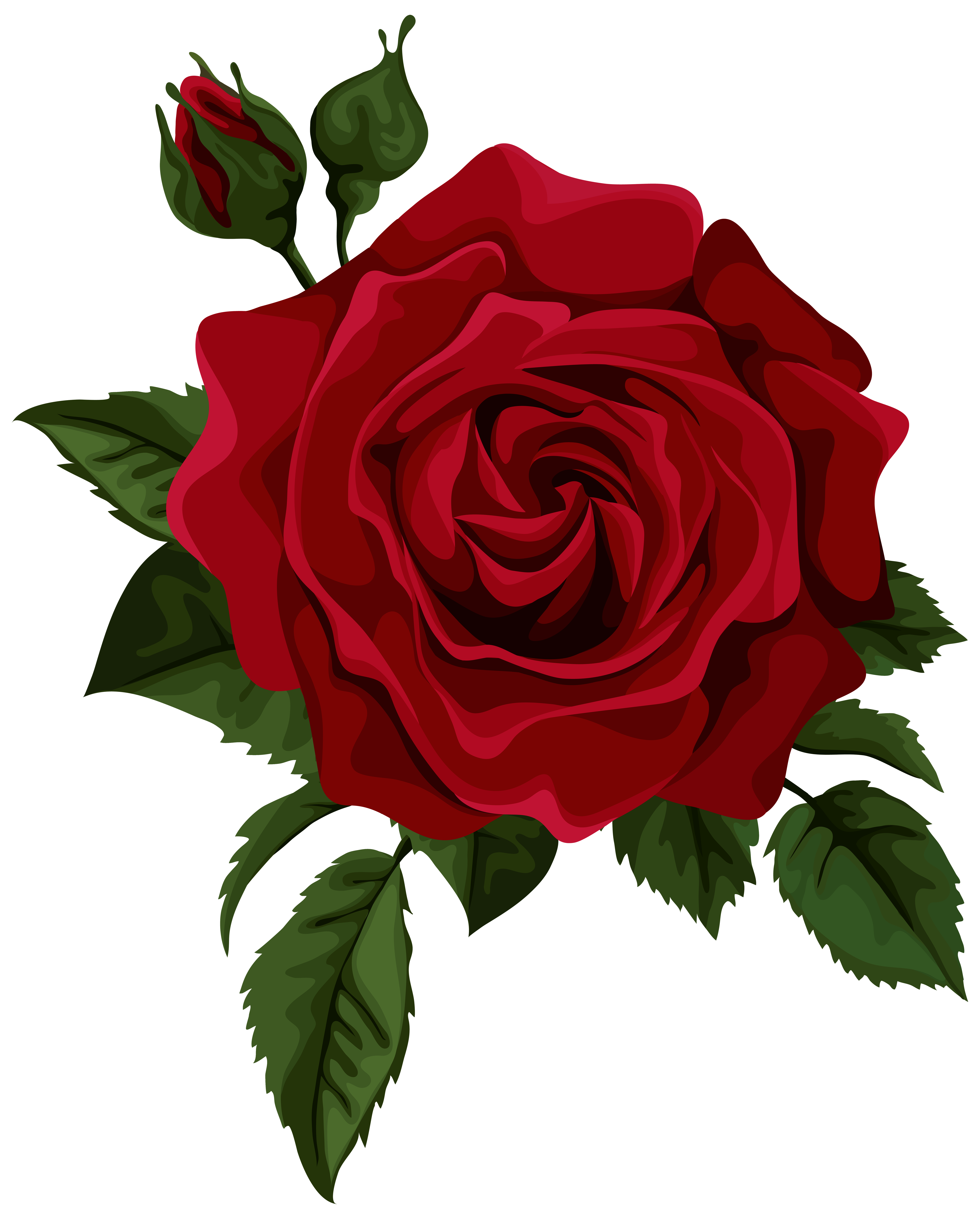 Free Roses Clip Art Pictures - Clipartix