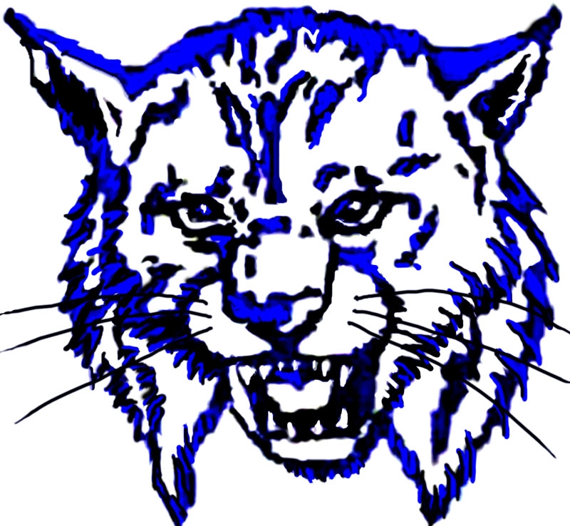 Wildcat Clipart