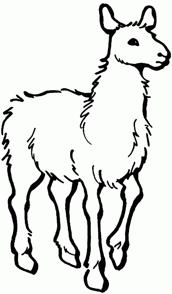 Llama clip art cartoon free clipart images 2