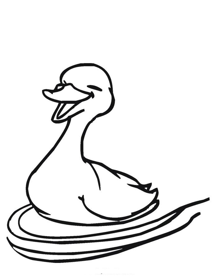 Duck Template - Animal Templates | Free & Premium Templates