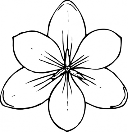 Flower Outline Clipart | Free Download Clip Art | Free Clip Art ...