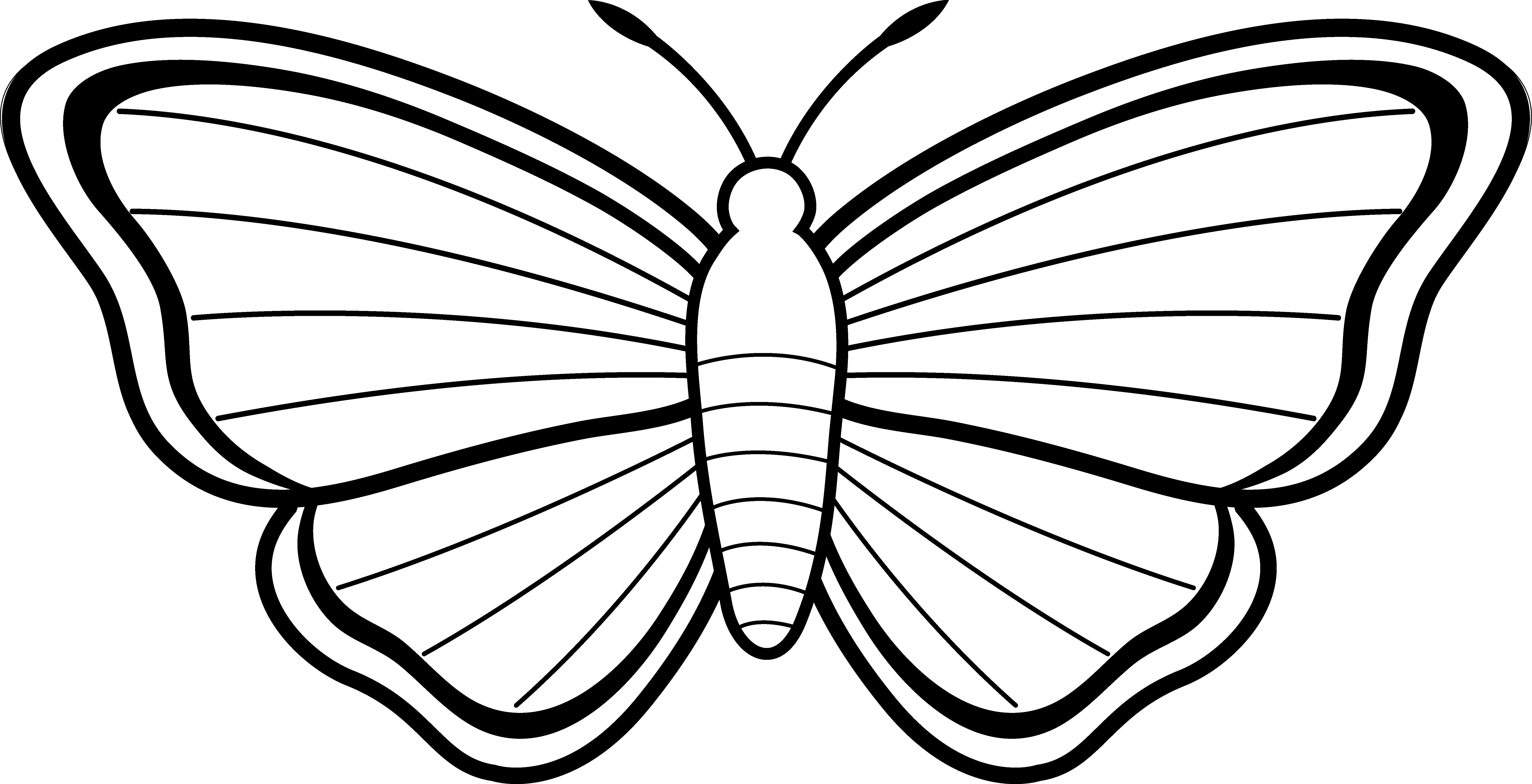 Butterfly outlines clipart