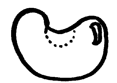 Seed Clip Art Black And White - ClipArt Best