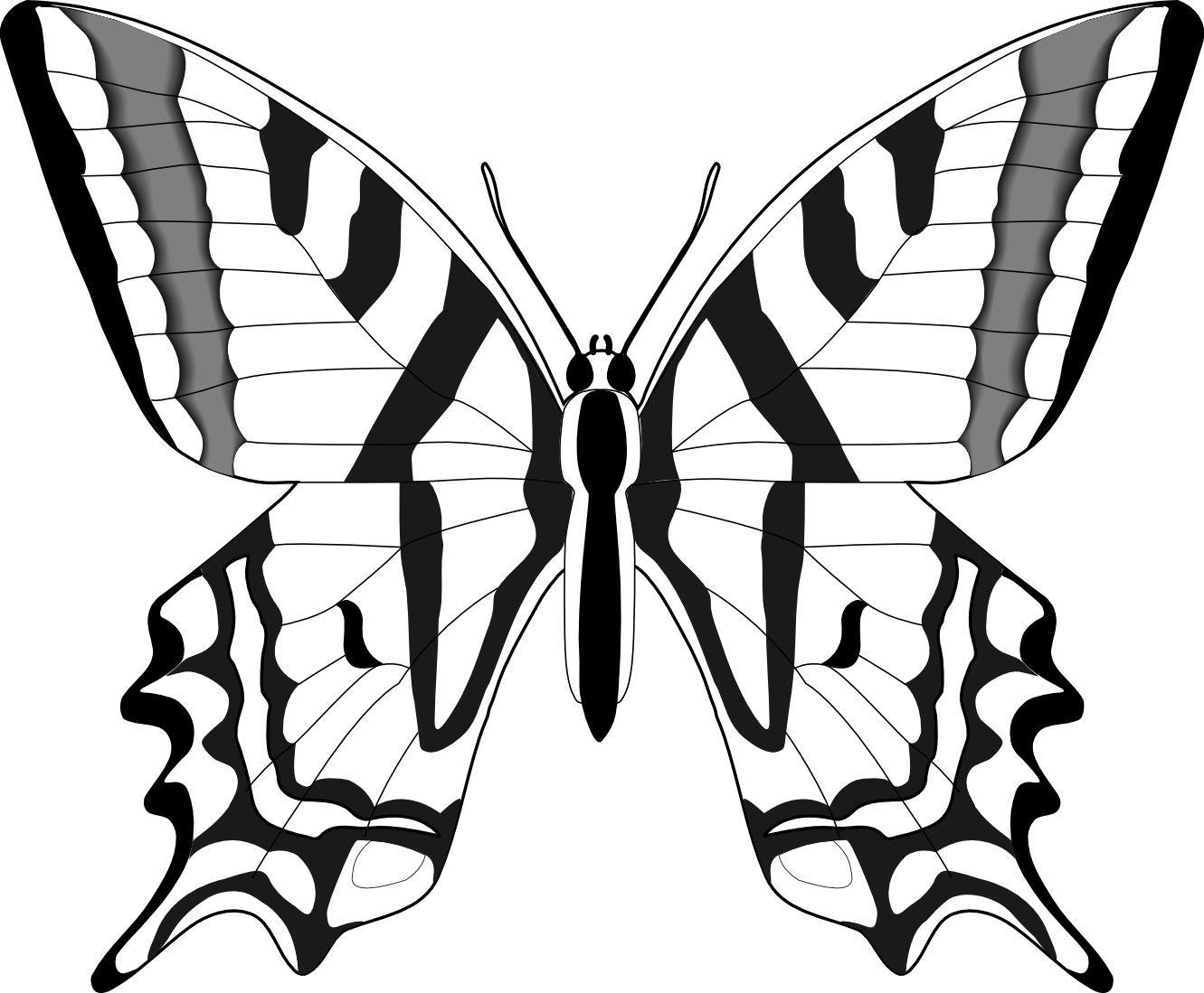 Butterfly Line Drawings - ClipArt Best