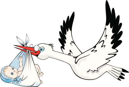 Cartoon Of Stork Carrying Baby Clip Art, Vector Images ...