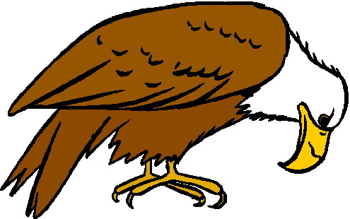 Clip Art - Clip art eagle 899573