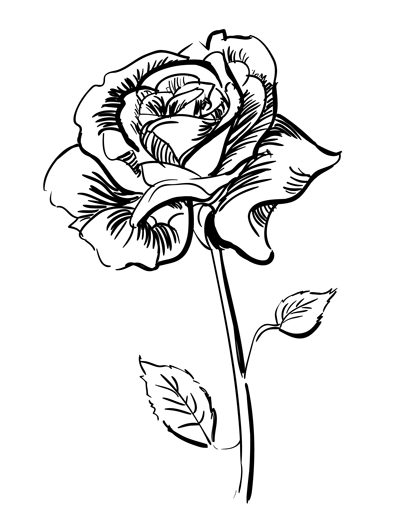 How to draw a rose step by step | Art All