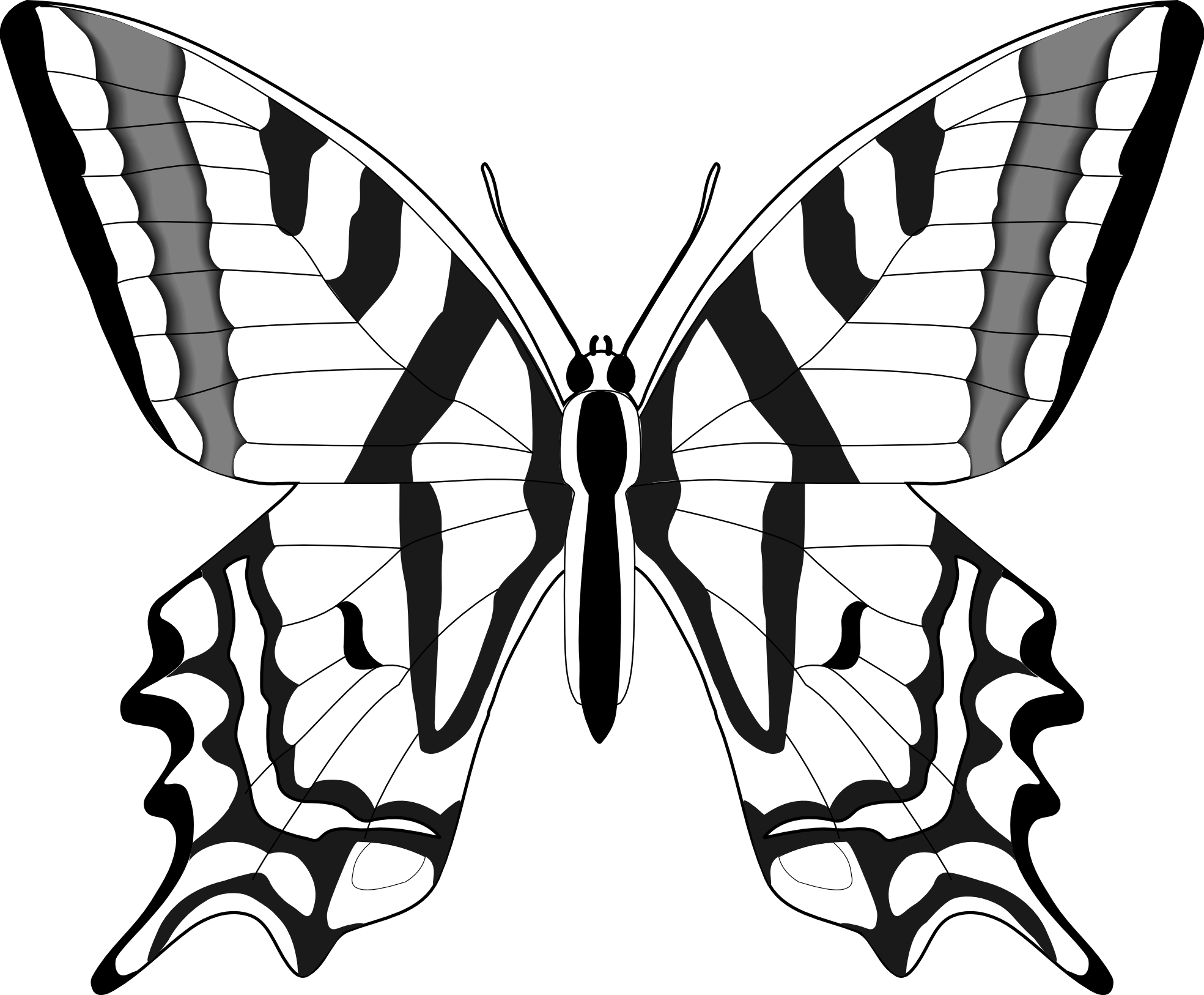 Line Drawings Of Butterflies - ClipArt Best