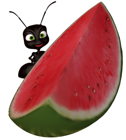 Watermelon Clip Art