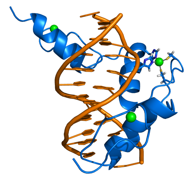 Chemistry of Life: 12/