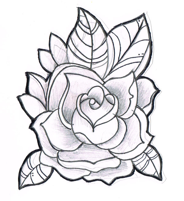 Line Drawing Of Rose