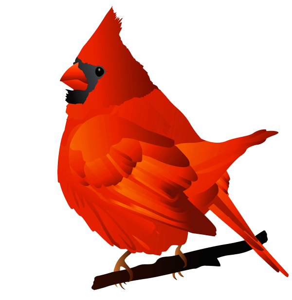 Northern red cardinal bird free clipart design download - Clipartix