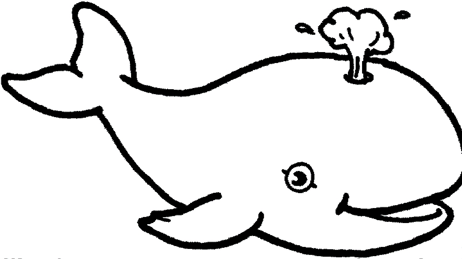 Whale Images For Kids | Free Download Clip Art | Free Clip Art ...