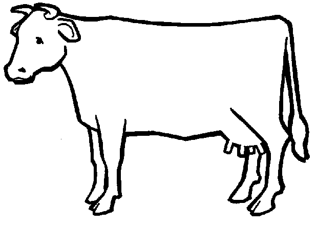 Cow Line Art