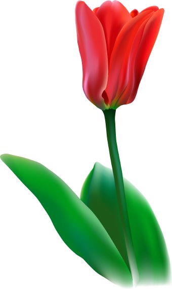 Tulip Flower Clip Art Free - Free Clipart Images