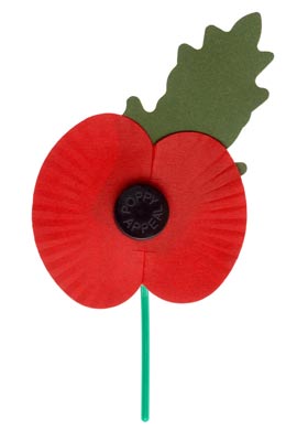 The Real Blog: Why I'm not wearing a poppy this year