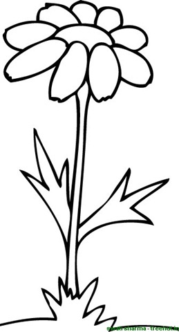 Flower Coloring Pages-5 - TreeHut.