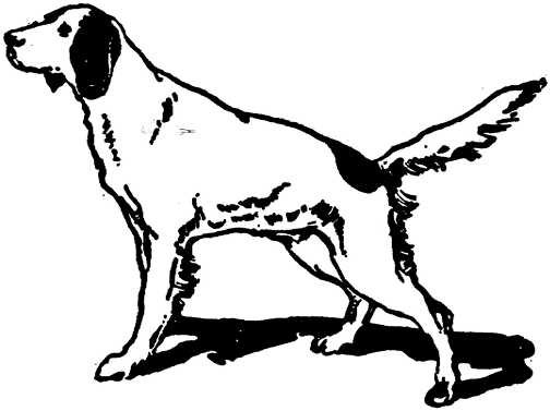 Dog graphics black white dogs 418241 Dog Graphic Gif - ClipArt Best