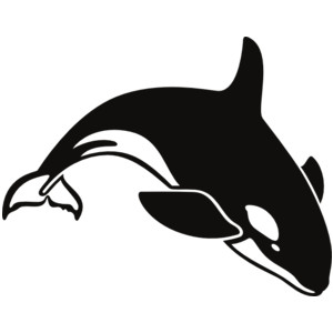 Killer Whale clip art - Polyvore