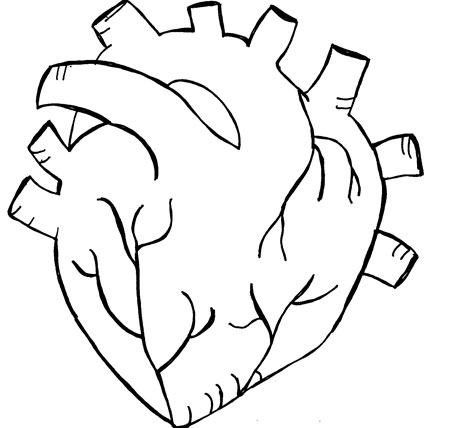 Real Heart Drawing - Free Clipart Images