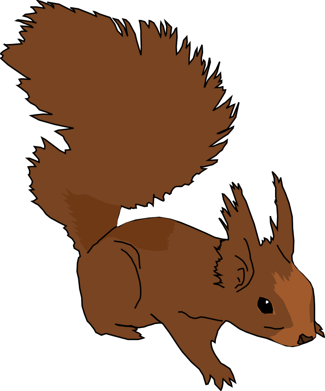 Squirrel Art | Free Download Clip Art | Free Clip Art | on Clipart ...