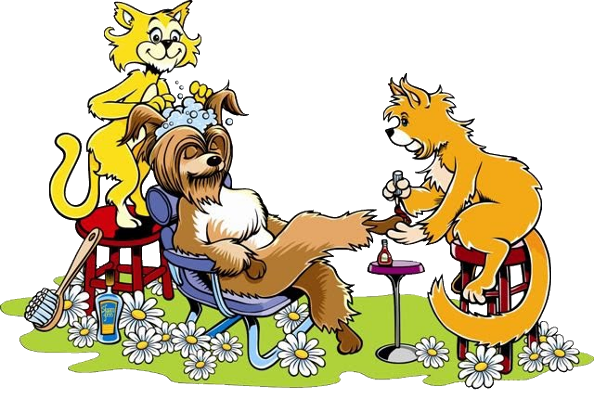 Pet grooming clipart