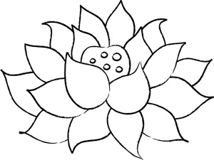 outlines of lotus Colouring Pages