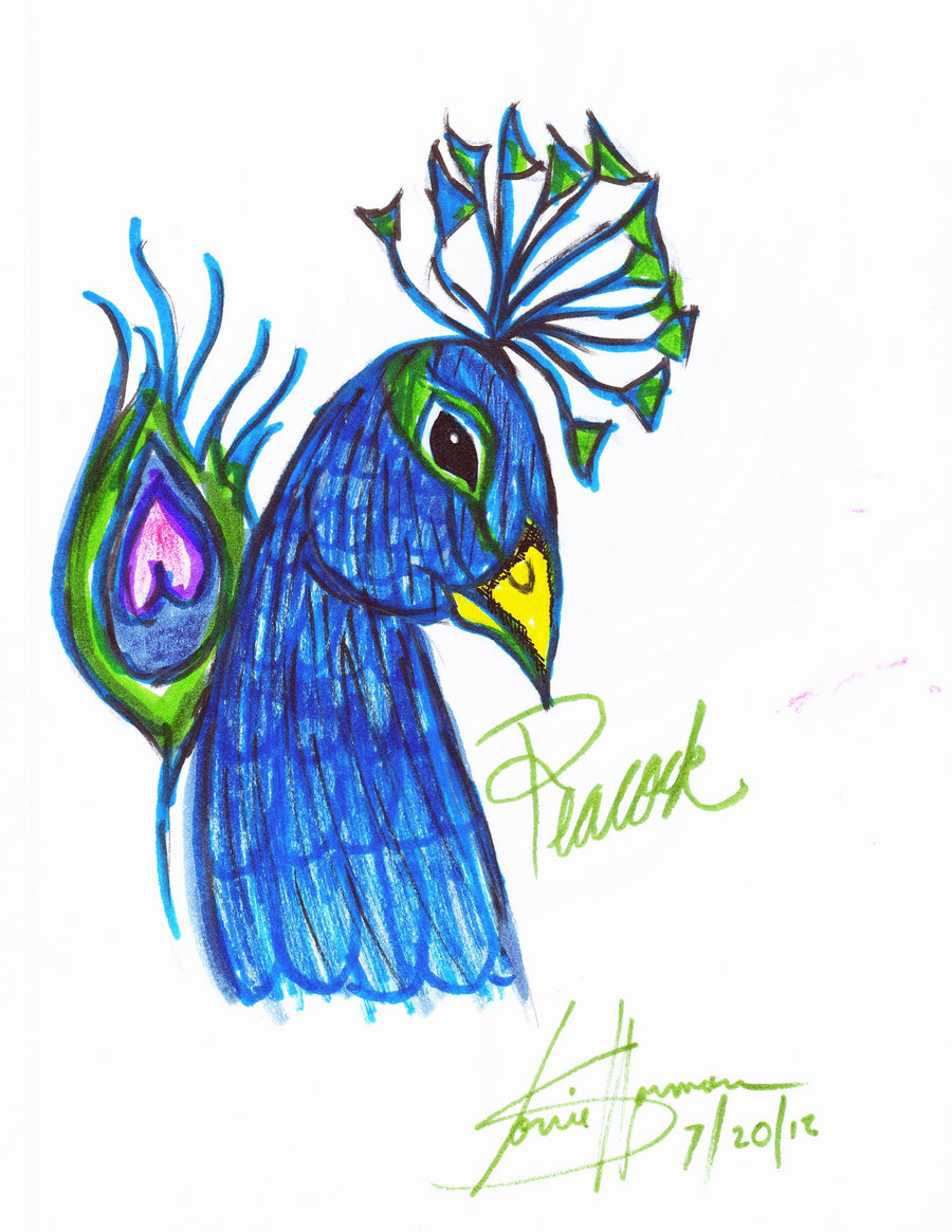 Simple Peacock Drawings
