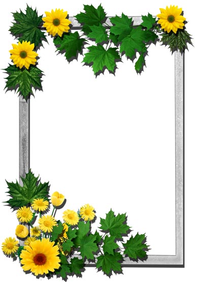 Png flower frames for photoshop