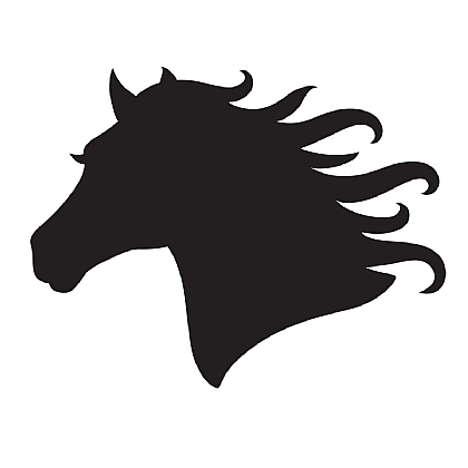 Horse Head Stencil for Glitter Tattoos for Horses