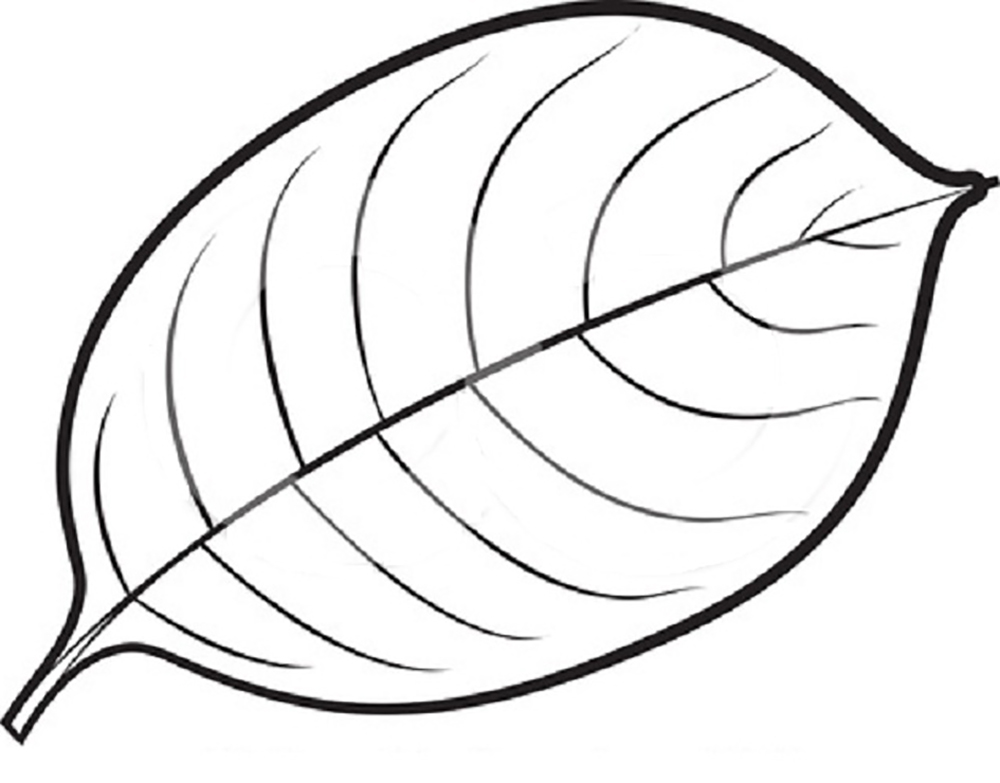Coloring Pages Leaves ClipArt Best