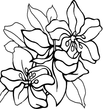 Tropical Flowers Coloring Pages Page 1